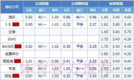 世界杯盘口分析 世界杯盘口分析